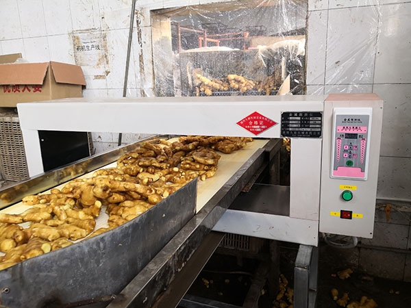 GJT-1F系列金属探测仪